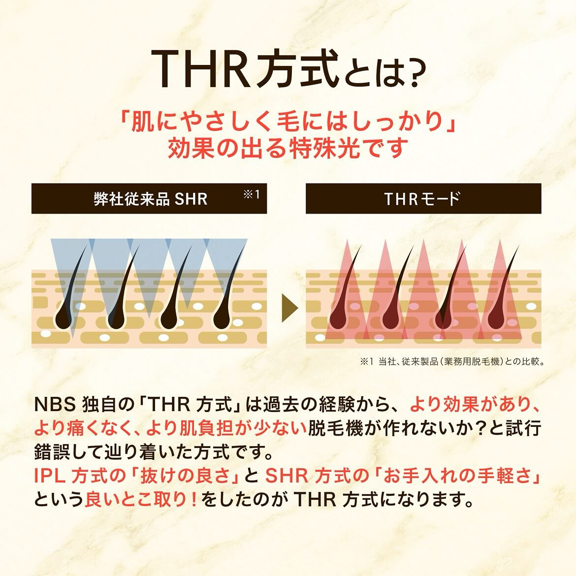 こんにちは！