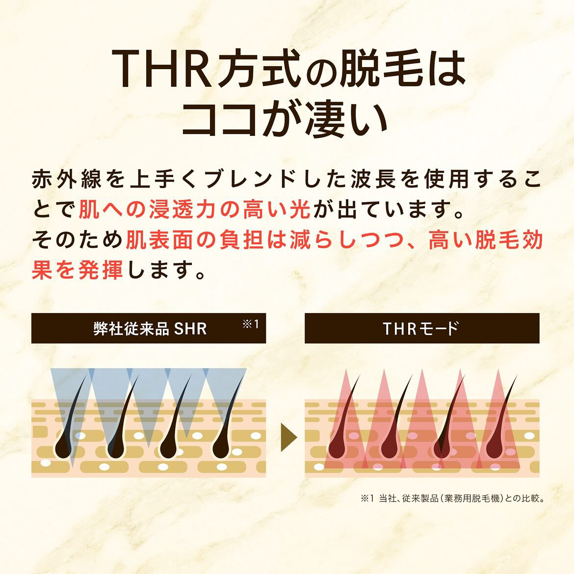 こんにちは！