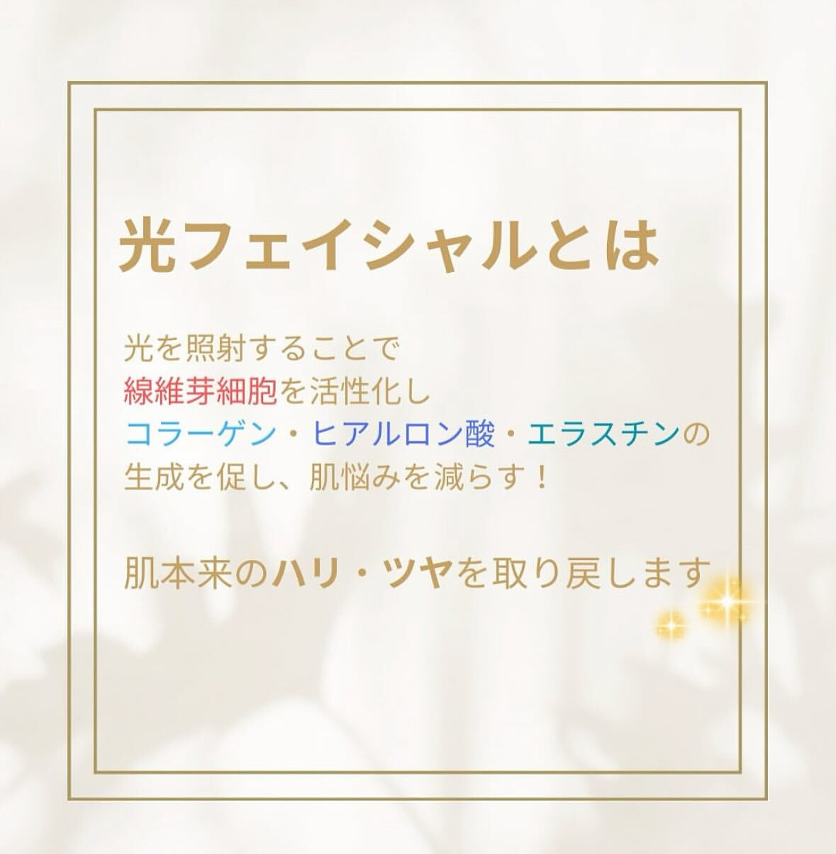 こんにちは！