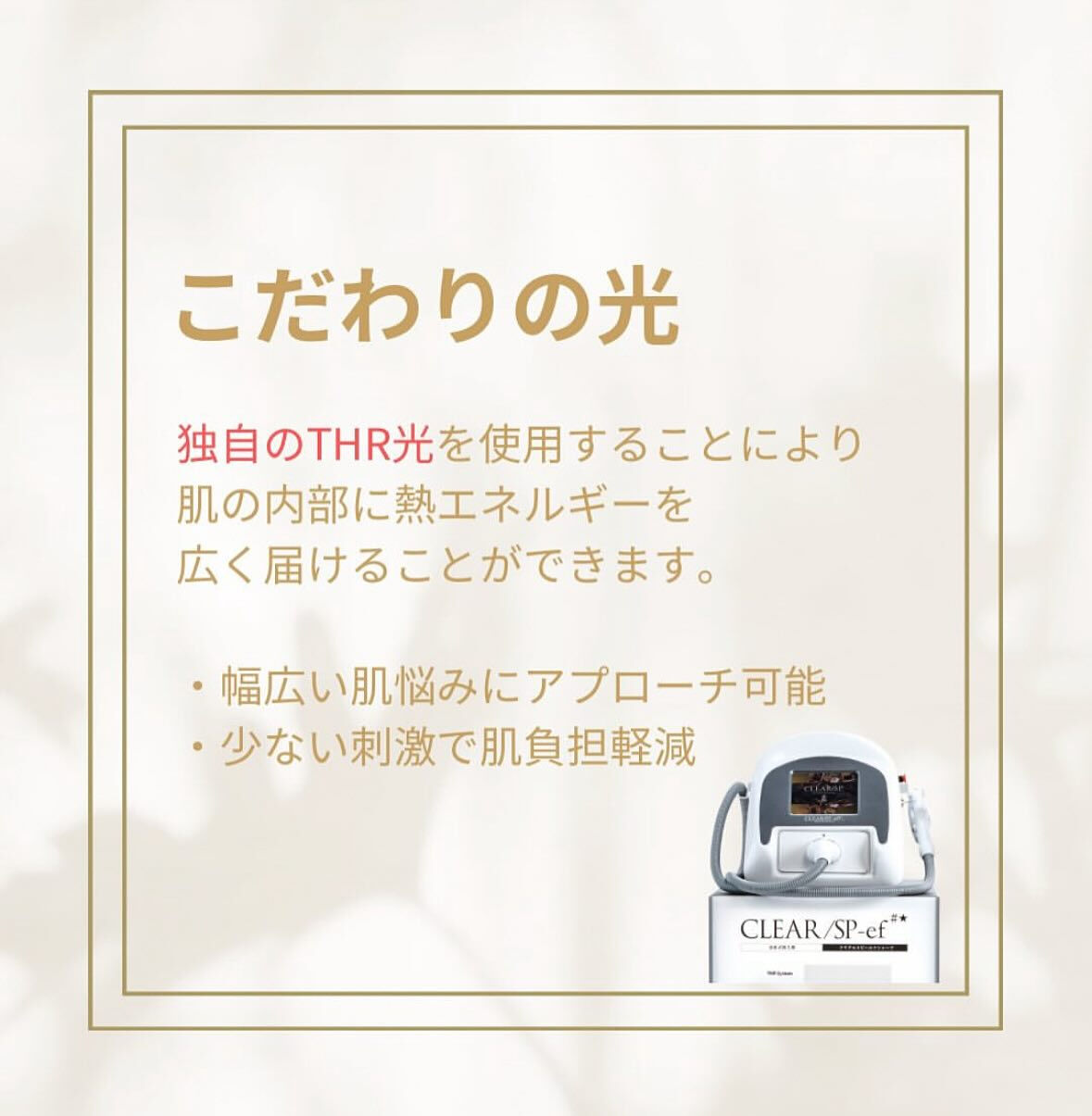 こんにちは！