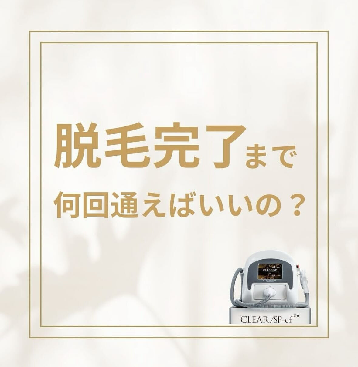 こんにちは！