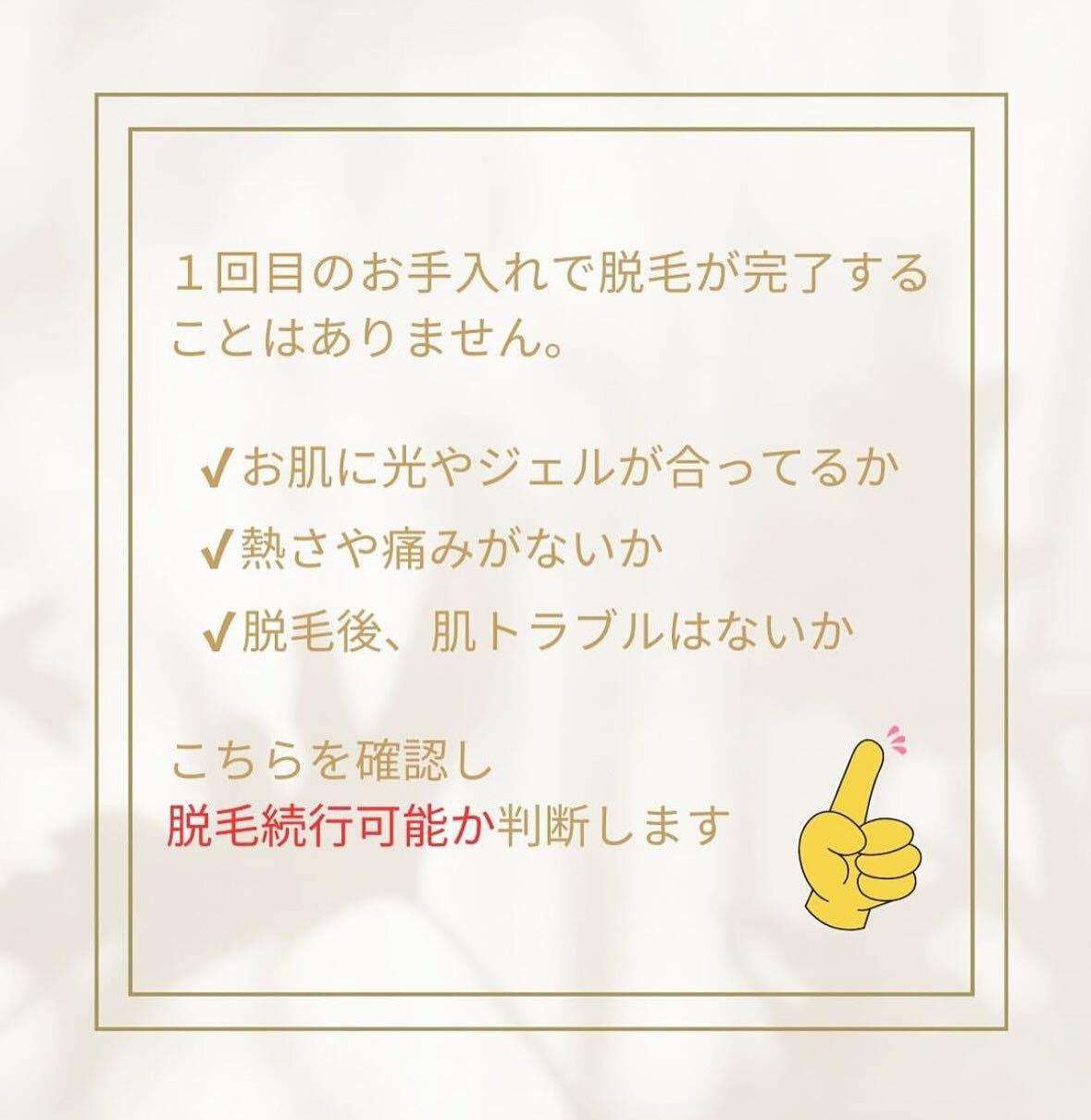 こんにちは！