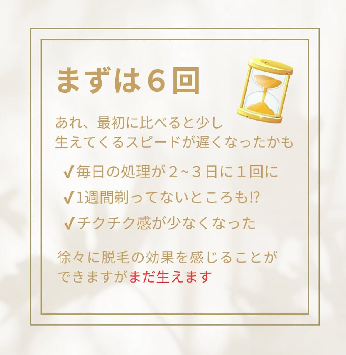 こんにちは！