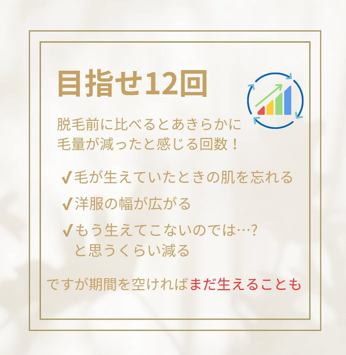 こんにちは！