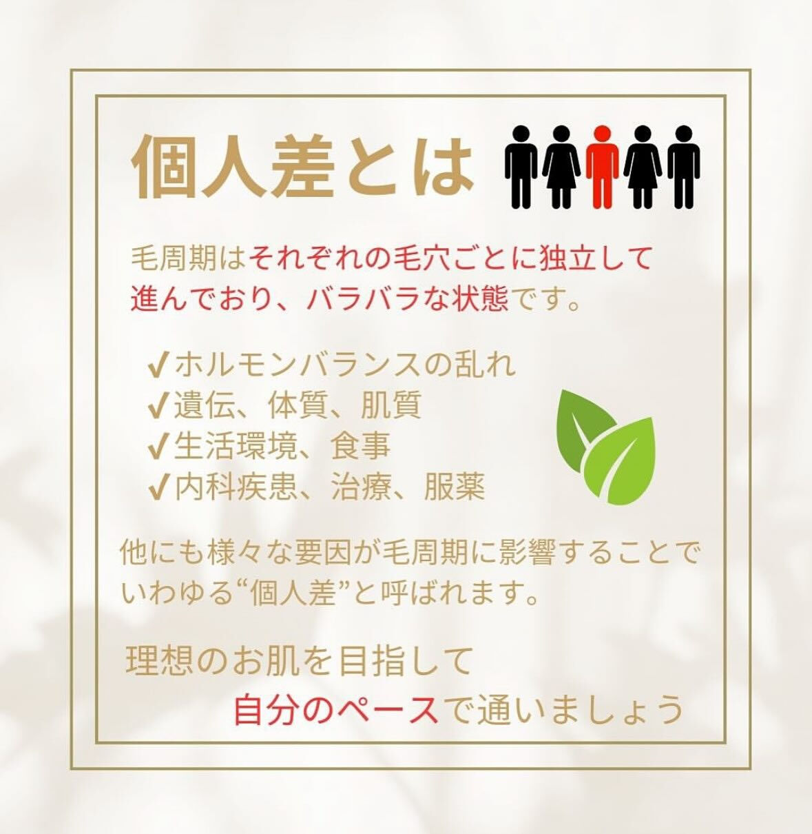 こんにちは！
