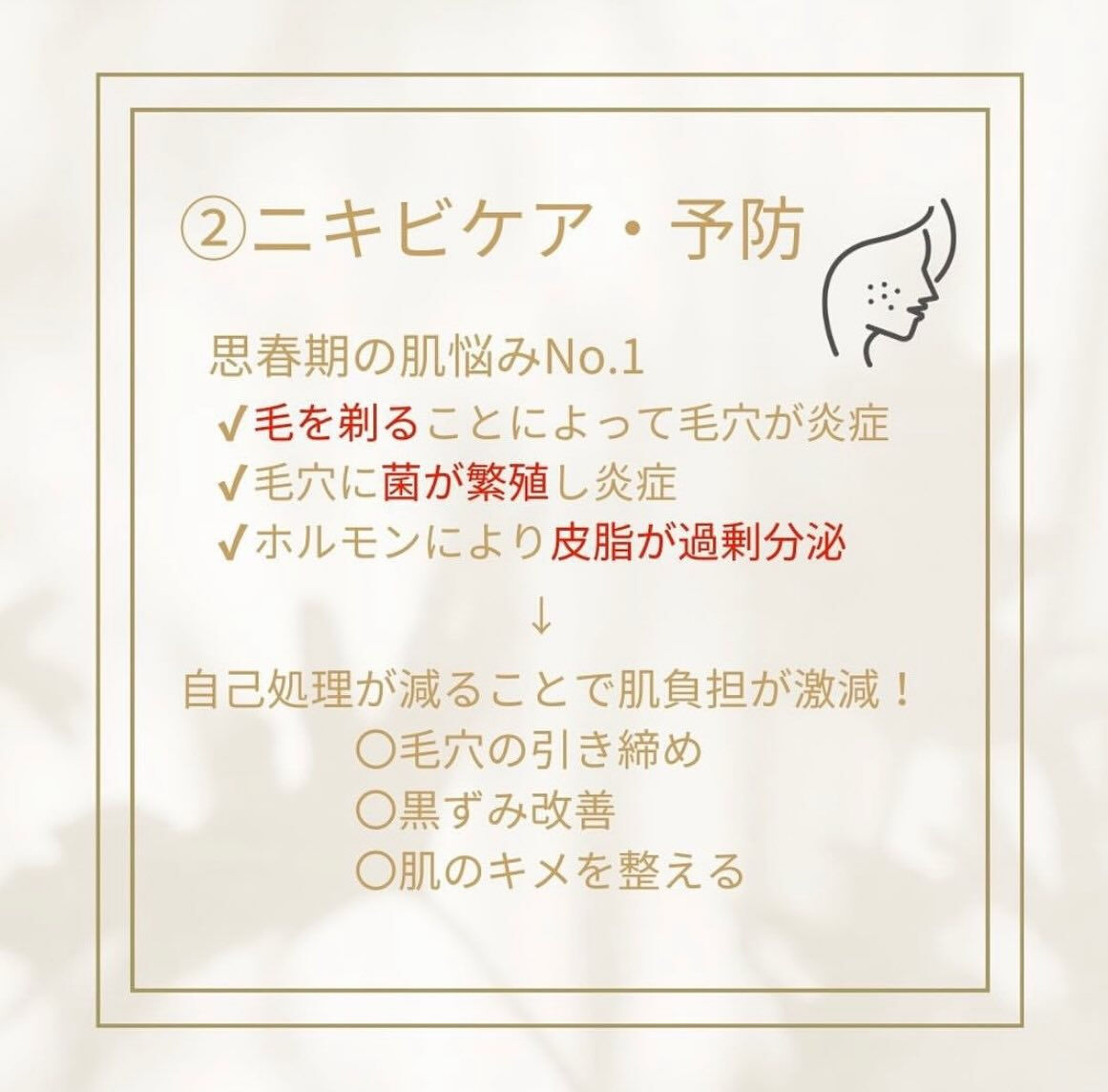 こんにちは！