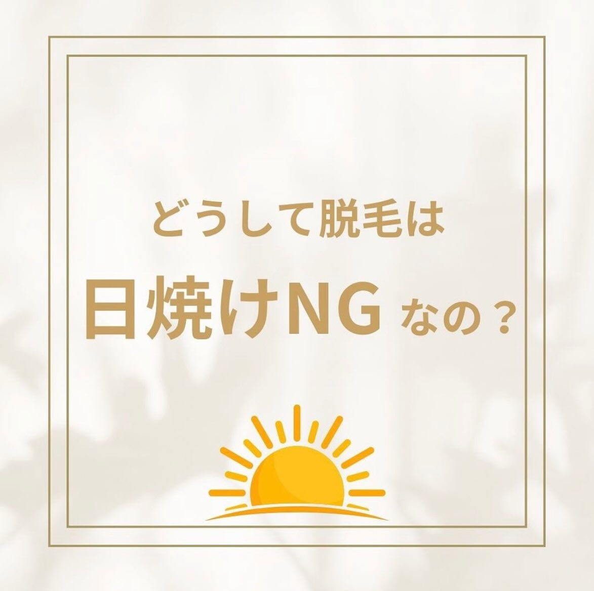 こんにちは！