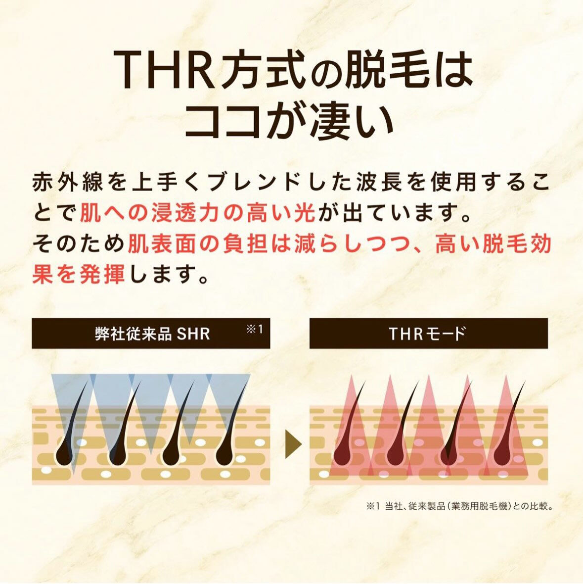 こんにちは！