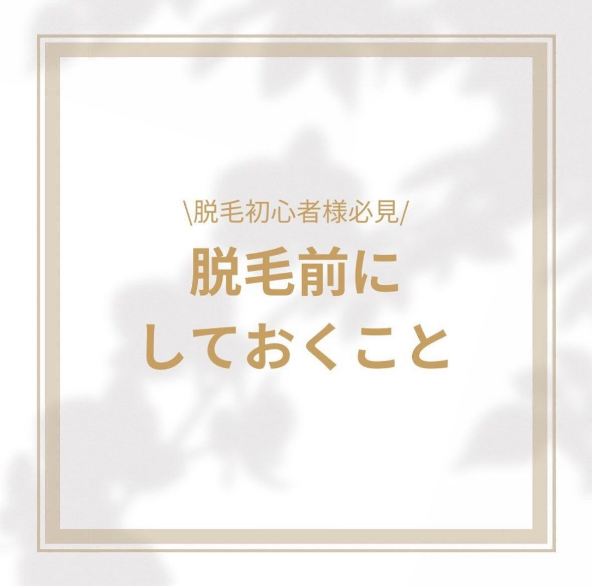 こんにちは🍀
