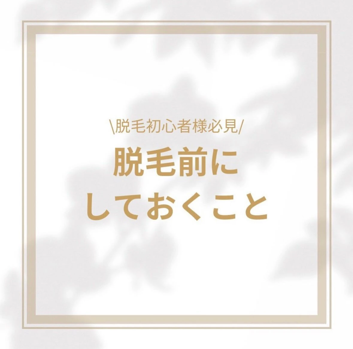 こんにちは🍀